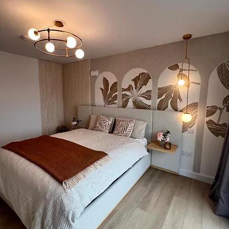 Stylish Superking And King Ensuite Bedrooms In Dublin-free Parking- 15 Min Airport Rum i privatbostad *